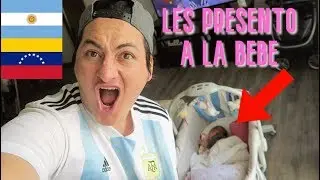 &iexcl;Brasil te veo en Semis! Reacciones Argentina 2-0 Venezuela Copa America 2019