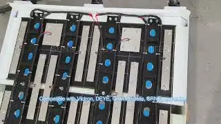 Inside the Power: 51.2V 30kWh LiFePO₄ Battery with Smart PACE BMS | Compatible with hybrid inverters