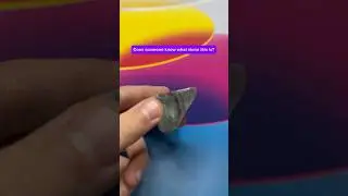 What Crystal Is This? 🤑| Lofi Chill Vibes CrystalID #LofiVibes #MysteryStone #Gemstone