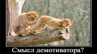 Картинки Демотиваторы Приколы 22569