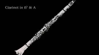 23 Clarinets - Clarinet Choir - Gratulations-Menuett