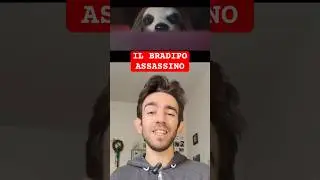Un bradipo assassino?? #movie #fillm #killer #horror #slasher #sloth #bradipo #animals #animal