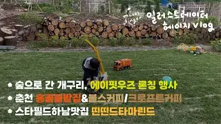 숲으로 간 개구리 by 에이핏우즈 론칭 행사 | 춘천 홍골솔밭집&불스커피 | 레고랜드에서 우는 아이 여기요.. | 스타필드하남맛집 띤띤드타마린드 | 춘천 크로프트커피