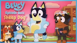 Bluey Season 3 - SHEEP DOG 🐏 - Episode Quiz