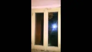 Un nido di calabroni