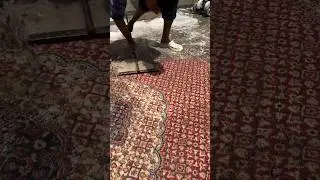 Carpet cleaning @Home Easy process full water wash #carpetcleaning #carpetwashing #rugwashing #mat