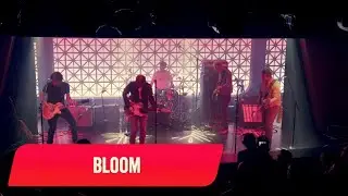 ONE ON ONE: Gigolo Aunts - Bloom November 15ht, 2023 Brooklyn Made, NYC