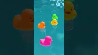 5 Little Ducks Game! Can YOU Catch Them? #CoComelon