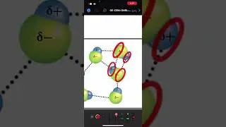 قوى التجاذب .. كيمياء ثاني ثانوي مسارات