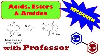 Lactone hydrolysis reaction nepetalactone mechanisms Organic Chemistry Help Tutorial