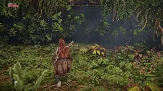 Live de Horizon forbidden west
