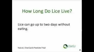 How Long Do Lice Live? | (800) 294-6816 | Lice Treatment