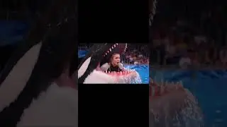 jessica radcliffe orca attack #trending #short #shorts