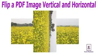 How to Flip a PDF Image Vertical and Horizontal in Foxit PhantomPDF