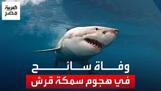 وفاة سائح روسي بعد تعرضه لهجوم 