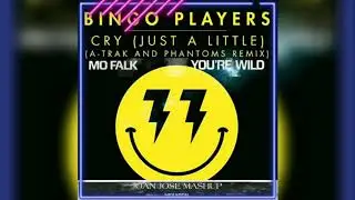 Mo Falk - You're Wild Vs Bingo Players - I Cry [ Mashup ]