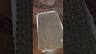 Air Cooler Honeycomb Pad Replacement Service in Bangalore | Expert Repair & Maintenance