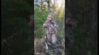 Подманили рябчиков