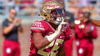 Florida State CB Asante Samuel Jr. Highlights