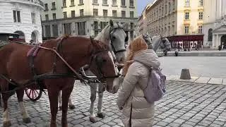 Vienna | short film