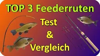 Feederruten TEST & Vergleich | Top 3 Feederruten Testbericht/Kaufempfehlung
