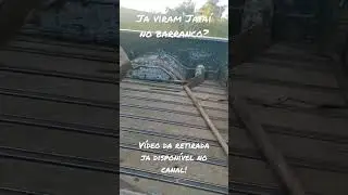 Pr&oacute;xima parte j&aacute; dispon&iacute;vel🍯🐝 #vlog #rural #aleat&oacute;rio #dica #interior #comida👨&zwj;🌾👍 #mel #MG&eacute;B&atilde;oDeMais