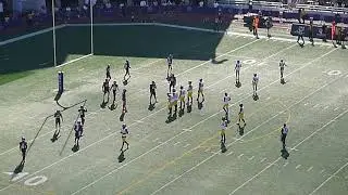 Hamilton Tiger-Cats QB Matthew Shiltz throws a 10-yard TD pass to Tim White vs. Montreal Alouettes
