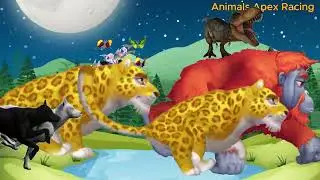 WILD ANIMALS GO CRAZY IN 3D RACING CHAOS!1 Part 277