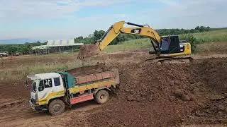 Powerful CAT Excavator Loading Dump Trucks | Construction Site #Day77
