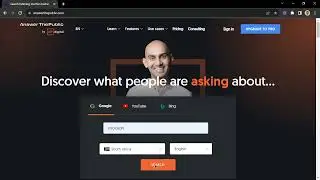 How to Use Answer the Public to Get Relevant Answers | Pearl Lemon