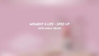 moment 4 life: drake, drake (sped up)