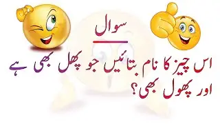General Knowledge Common Sense Questions  Paheliyan In Urdu & Hindi  Riddles | Episode 1