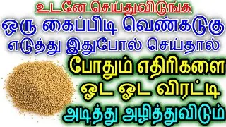 ஒரு கைப்பிடி வெண்கடுகு போதும் எதிரிகளை ஓட ஓட விரட்டி அடித்து அழிக்கும் | Sattaimuni Nathar