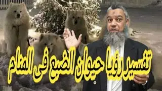 تفسير رؤيا حيوان الضبع في المنام