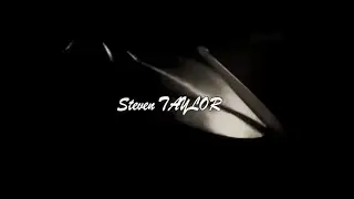 STEVEN TAYLOR - L'ENVOL DU PHOENIX