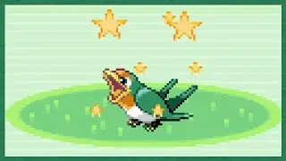 [Live] 5% Shiny Taillow after 13,992 REs in Pok&eacute;mon Sapphire