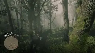 RDR2 oh f**k moment