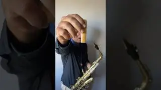 TESTE DE PALHETA JAVA X RICO ROYAL
