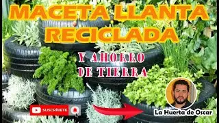 MACETA LLANTA RECICLADA PARA CULTIVO  (AHORRO DE TIERRA)