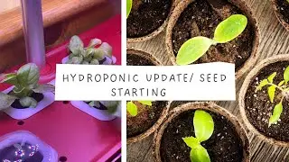 Hydroponic System Updates | Seed Starting | EverCrest