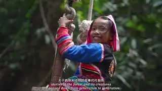 UNESCO Awarded Project: 3 yrs of Culminating Yunnan Fieldwork - Outstanding SustainabilityResearch
