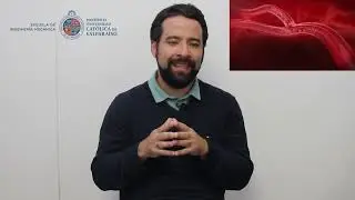 Julio Ortega- Escuela de Ingenier&iacute;a Mec&aacute;nica