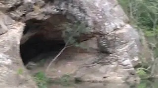 Yowie Bigfoot Search Canungra