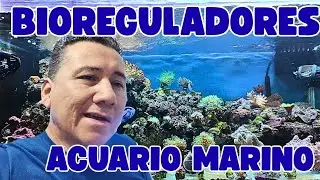 BIOREGULADORES DEL ACUARIO MARINO. /NITRATOS Y FOSFATOS.