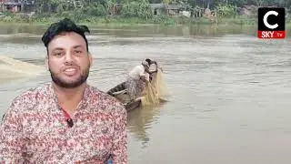 হালদা বিশুদ্ধ পোনা বছরে ৪-৫ কেজি মাছ 🐟  l Cskytv