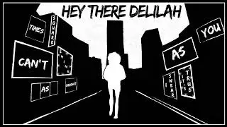 Plain White Teas, Travis Chaplin- Hey There Delila