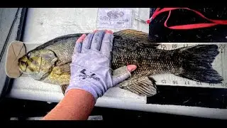 Catherine Pleasance on Quennell Lake - Tales & Tackle: Vancouver Island July 7 2025