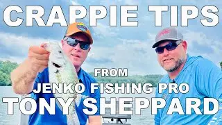 Советы по ловле краппи с профессионалом Jenko Lures Тони Шеппардом