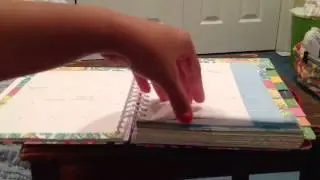 Lilly Pulitzer large agenda review