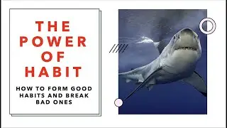 How to Break Bad Habits: Power of Habit